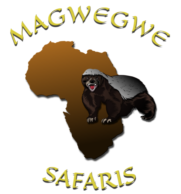Magwegwe Safaris